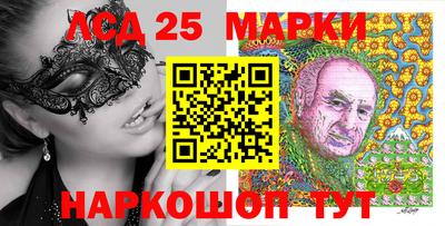 spice Новодвинск