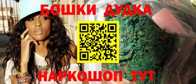 spice Новодвинск