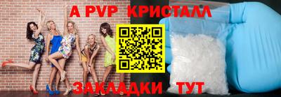 spice Новодвинск