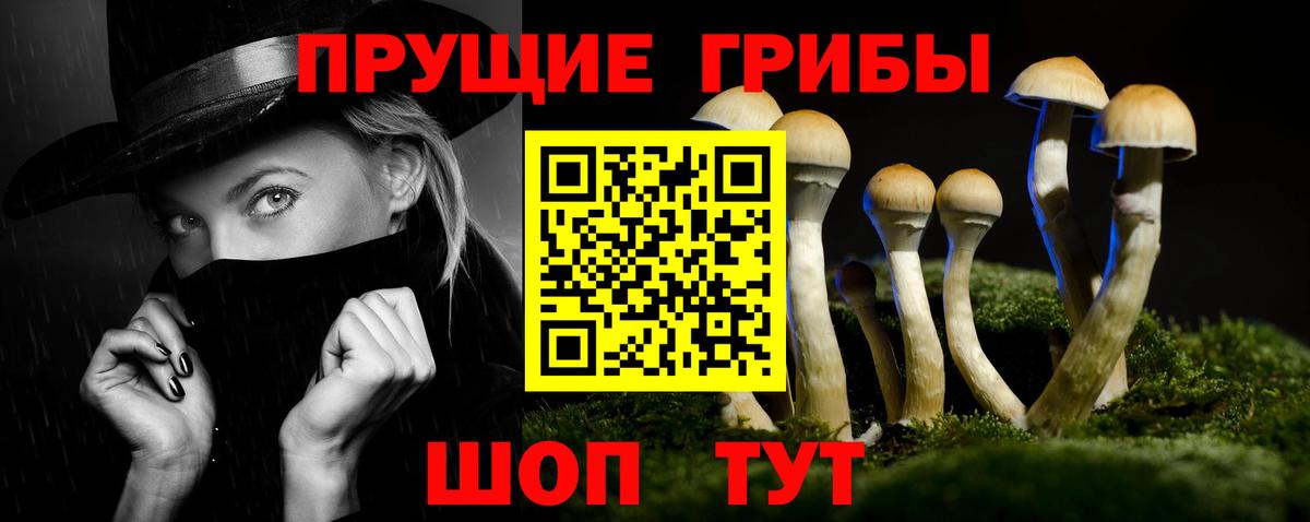 Галлюциногенные грибы GOLDEN TEACHER Сафоново