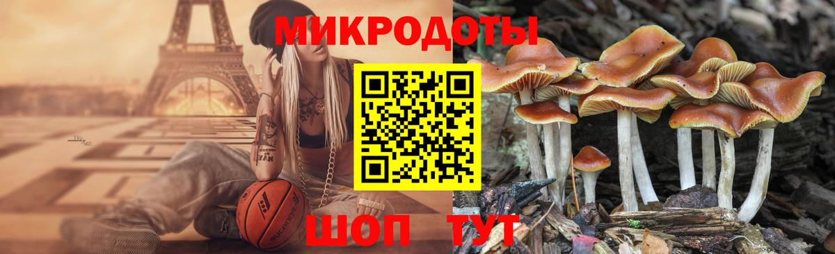 Сафоново  Псилоцибиновые грибы MAGIC MUSHROOMS  Вход с VPN 